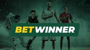 BetWinner Online Bookmaker Your Comprehensive Guide