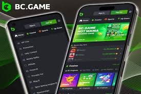 BC.Game Casino Guide to Online Gaming