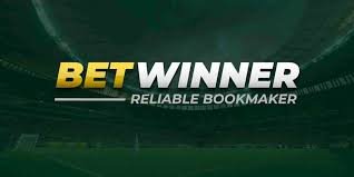 Everything You Need to Know About the BetWinner Platform