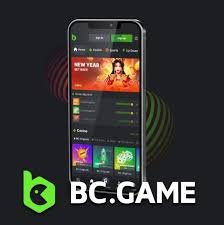 استمتع بتجربتك في كازينو BC GAME المبتكر