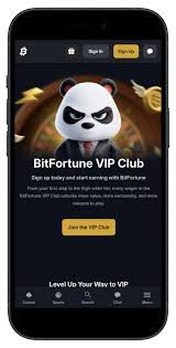 Bitfortune Live Gaming Experience Fast Deposits Like Never Before