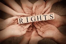 Advocating for Justice The Role of a Human Rights Law Firm